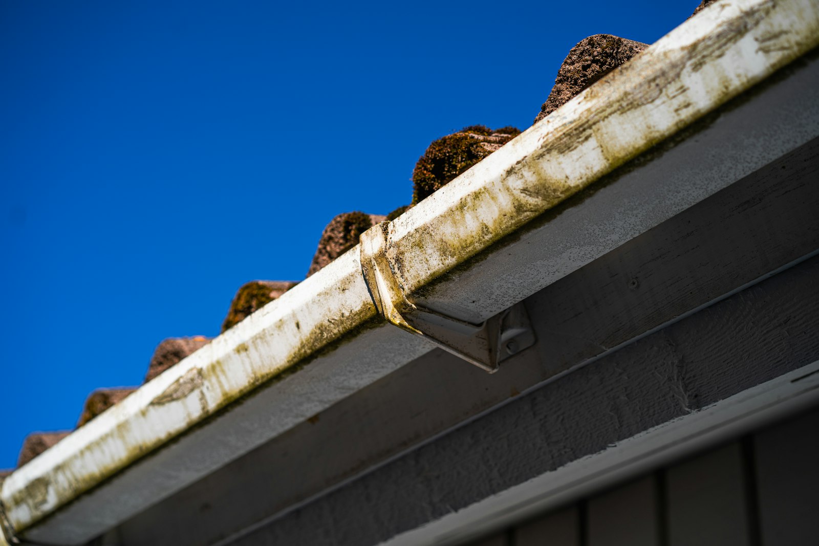 Gutter clogged with leaves and debris on a roofline