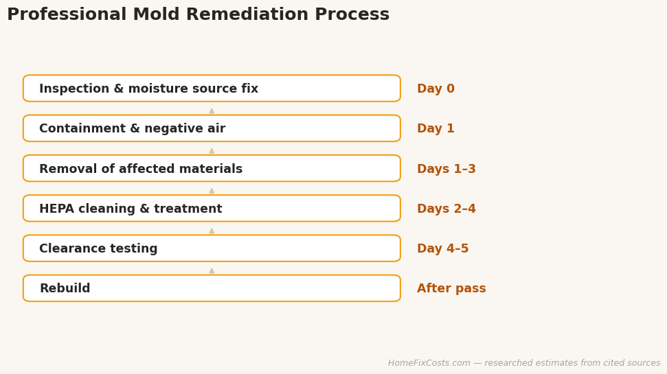 Professional mold remediation process step by step